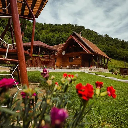 Daria Lodge