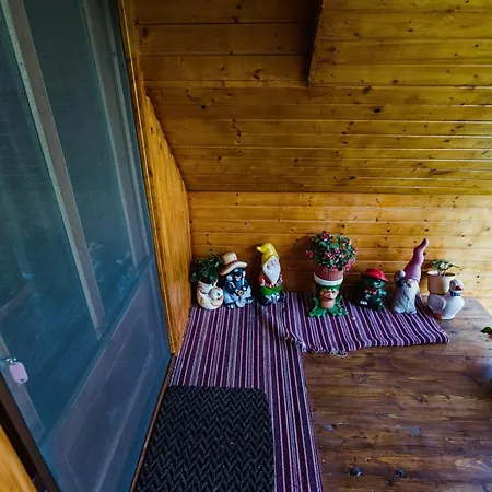 Daria Lodge