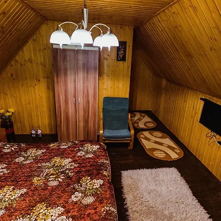Daria Lodge Ribicioara