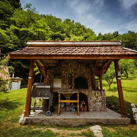 Daria Lodge *