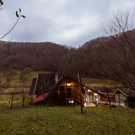 Daria Lodge *