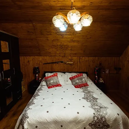 Daria Lodge Ribicioara